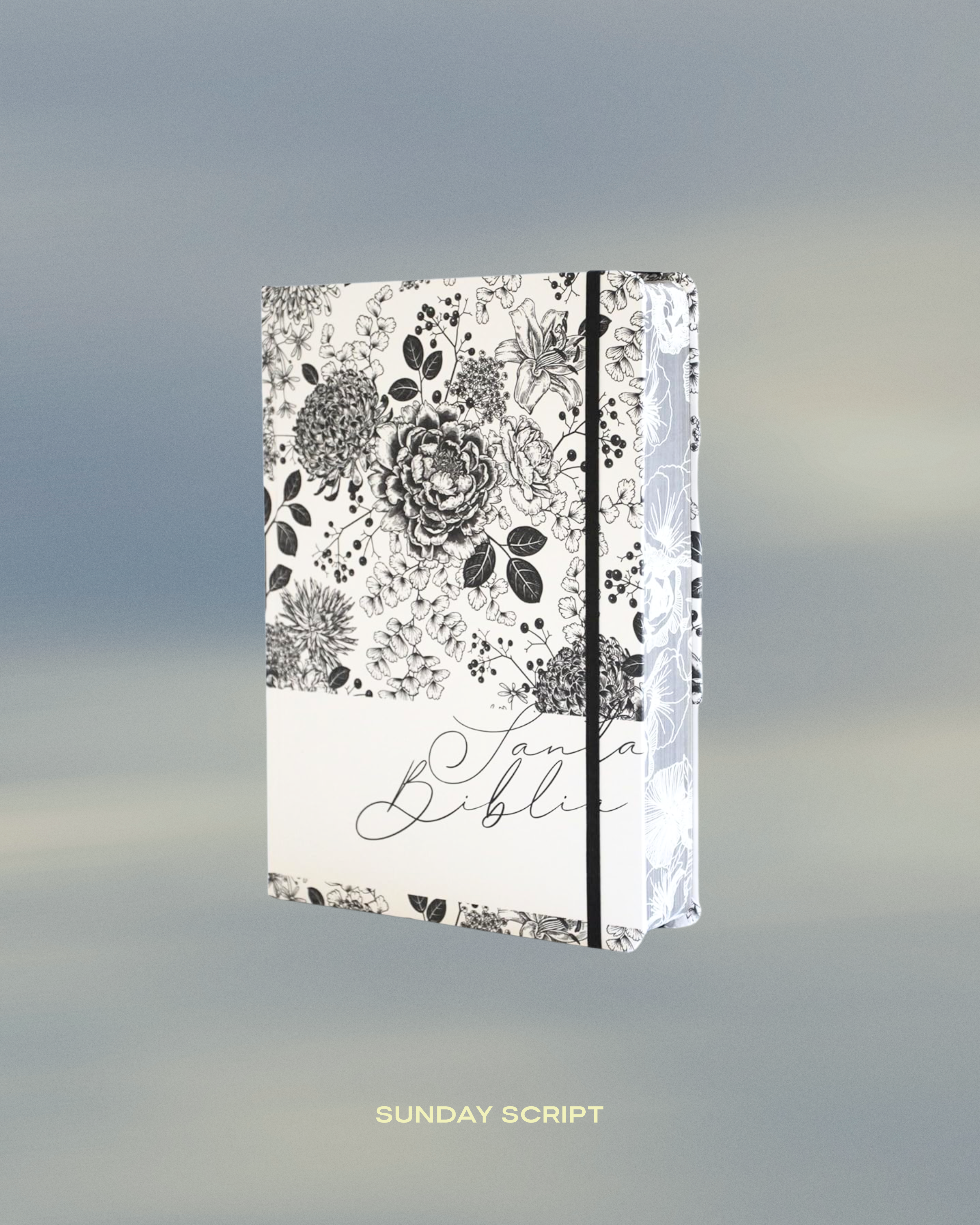 RVR60 Tapa Dura - Biblia de Notas