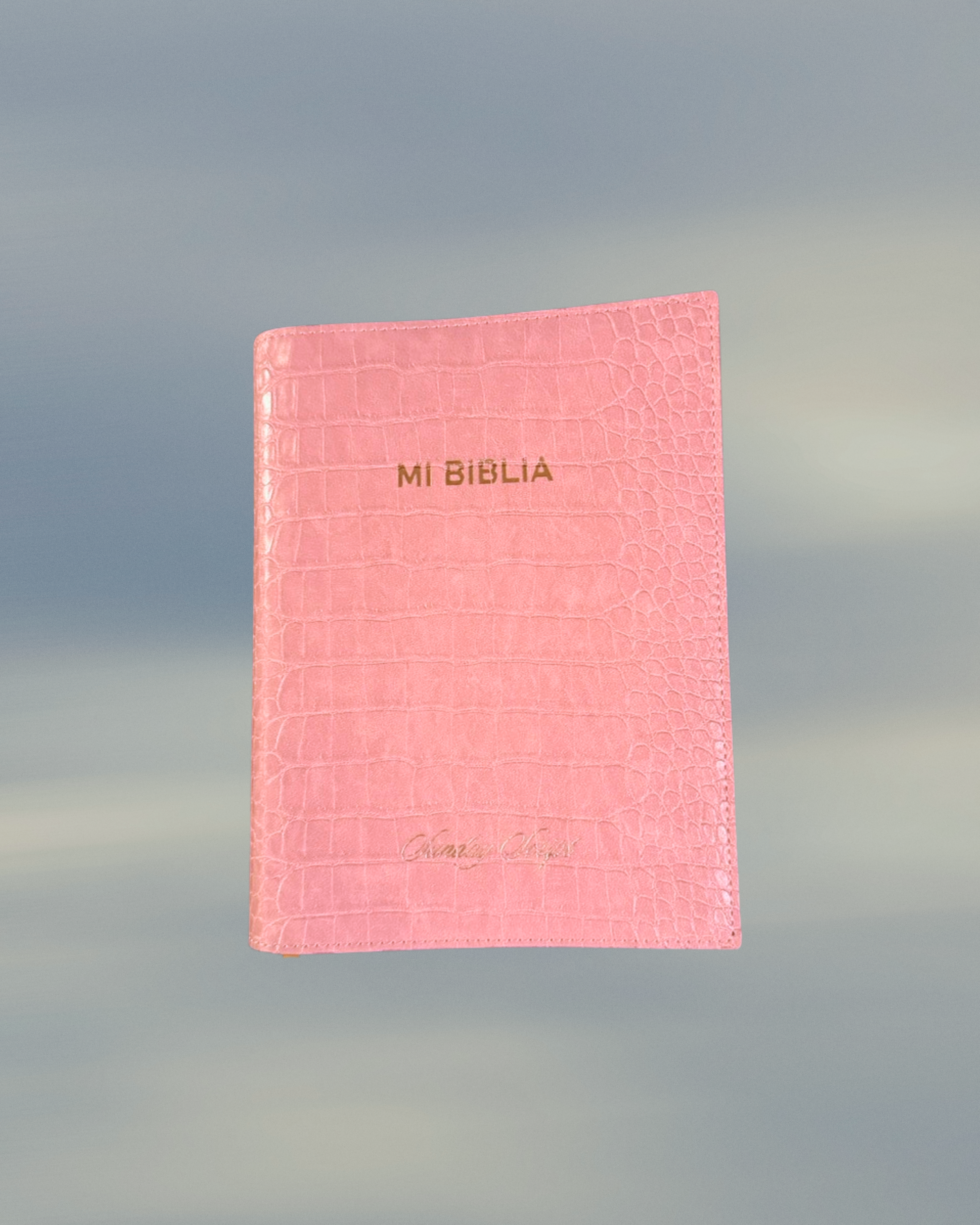 Bible Cover - Dusty Pink