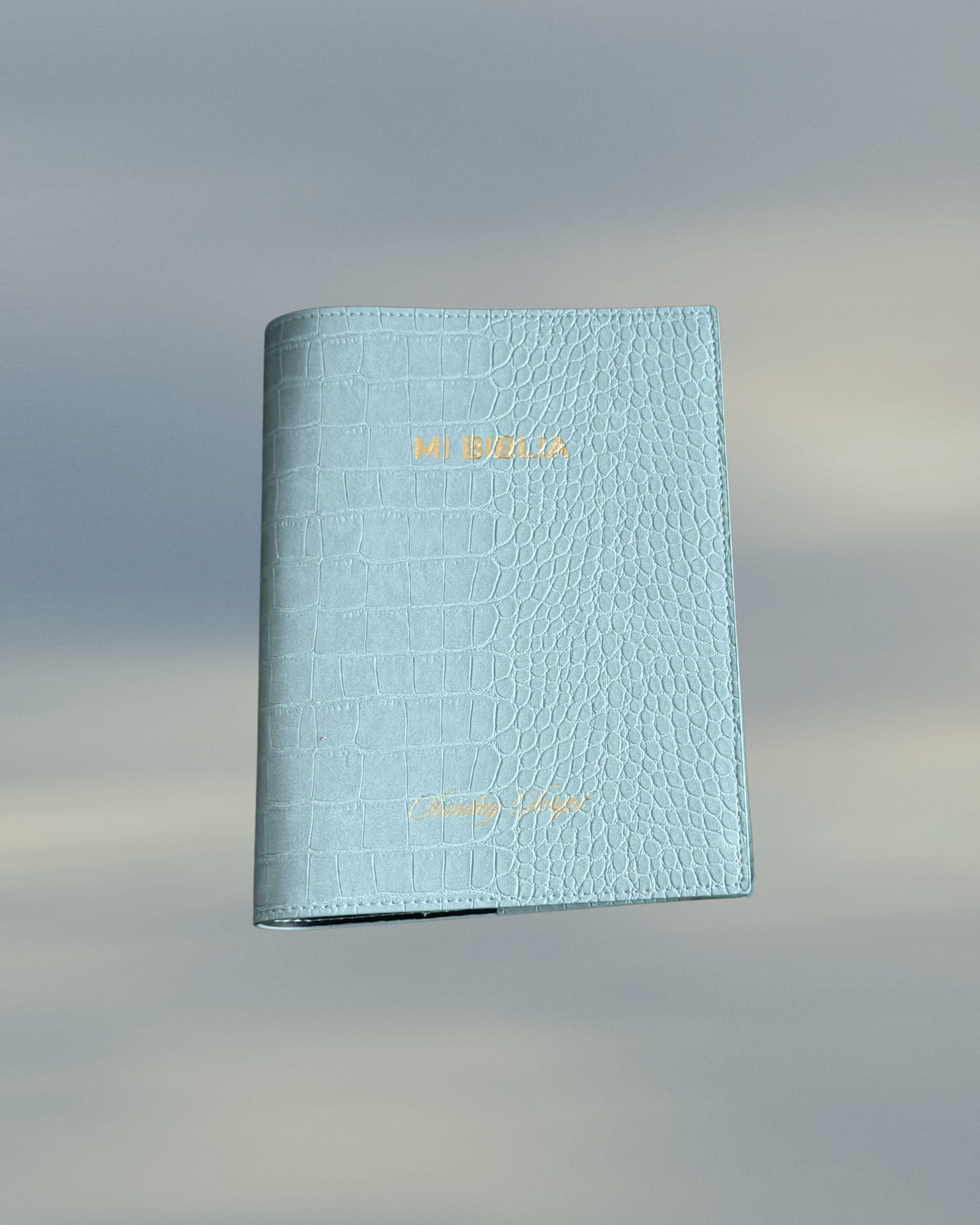 Bible Cover - Baby Blue