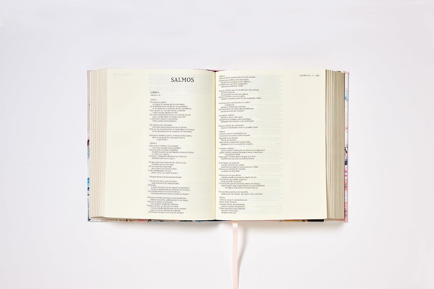 NVI Edición Artística Tapa Dura - Biblia de Notas