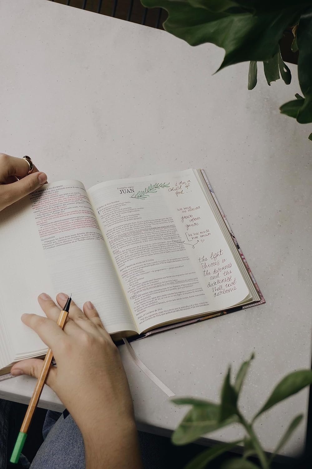 NVI Edición Artística Tapa Dura - Biblia de Notas