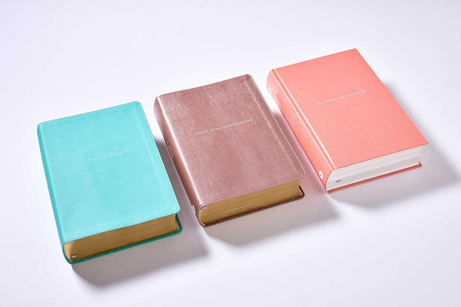 Ama a Dios Grandemente - Biblia de Notas