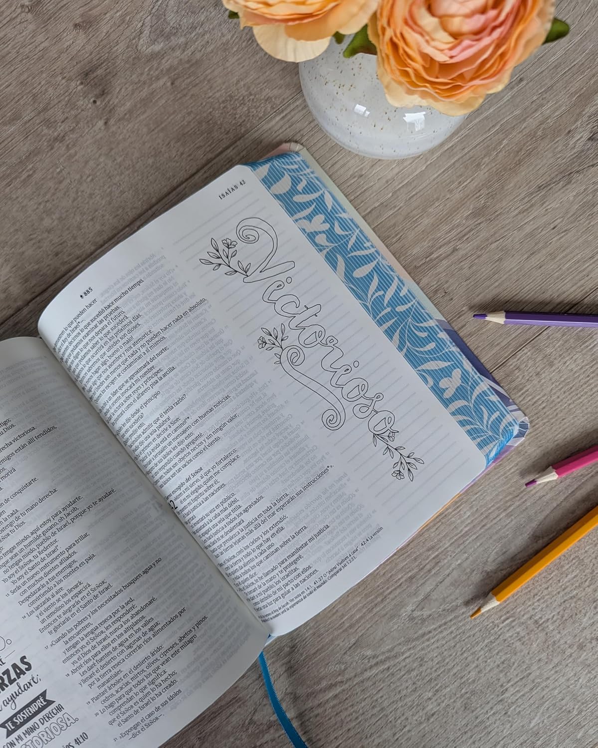 NTV Inspira con Filament - Biblia de Notas