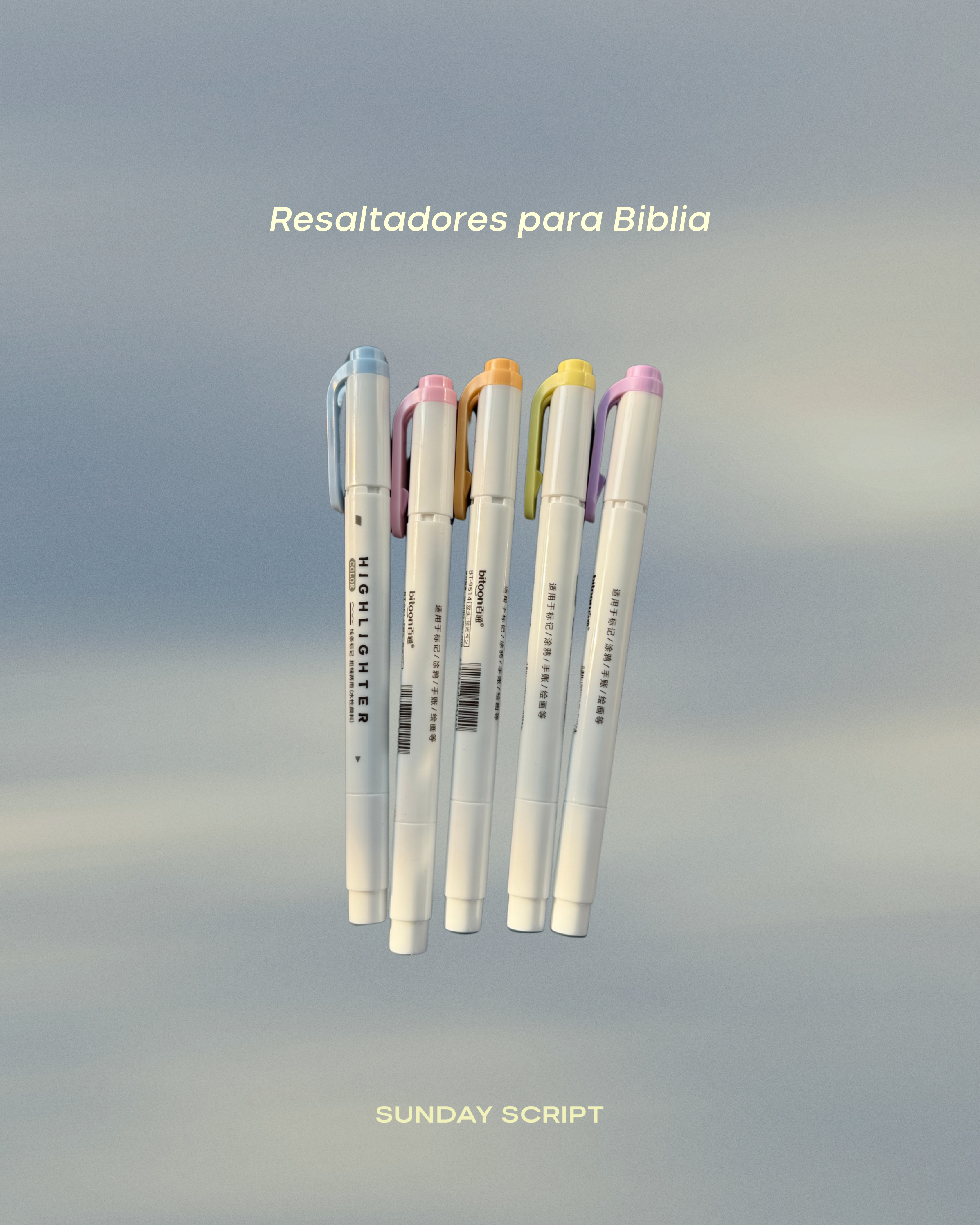 Resaltadores Doble Punta para Biblia - Set de 5