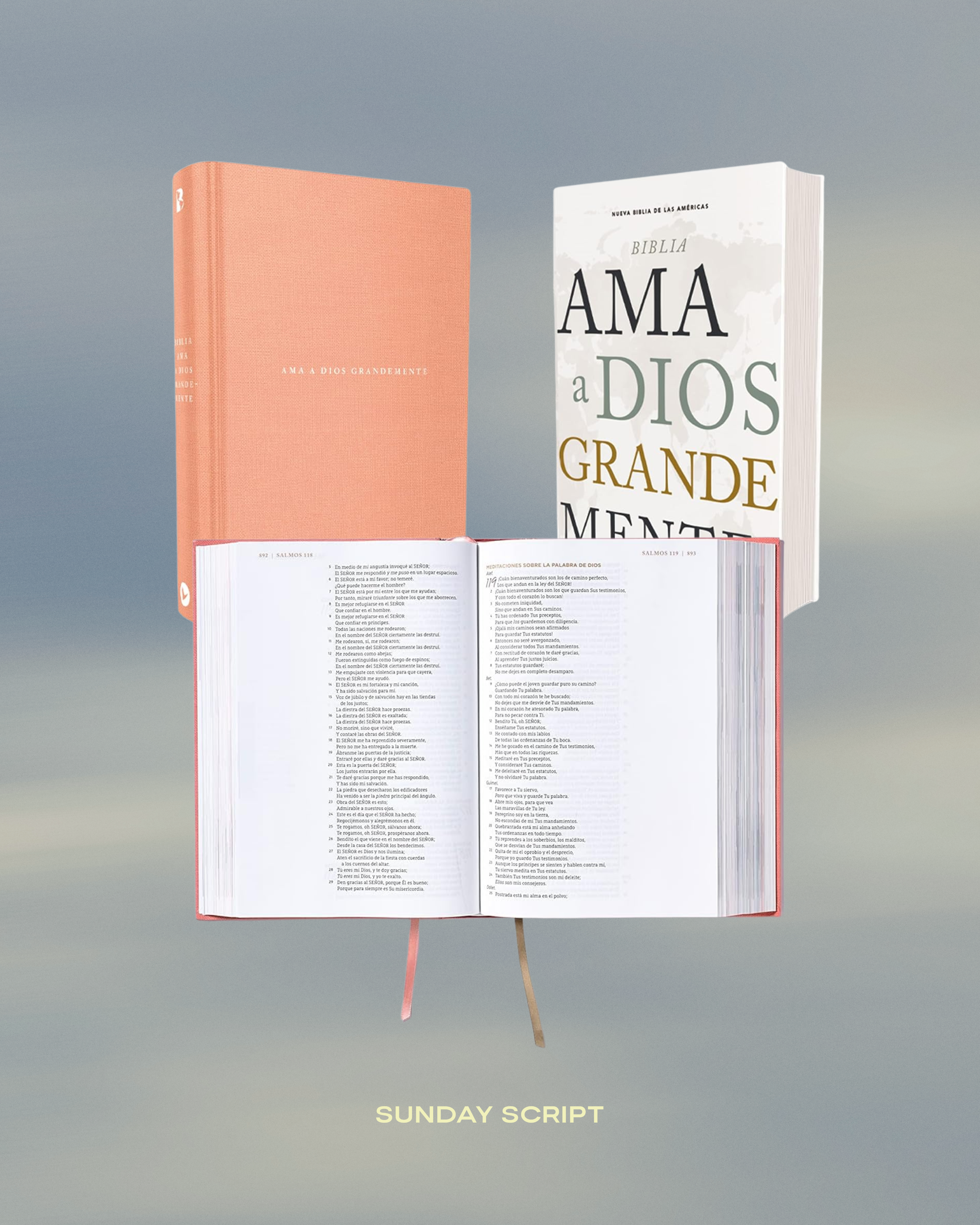 Ama a Dios Grandemente - Biblia de Notas