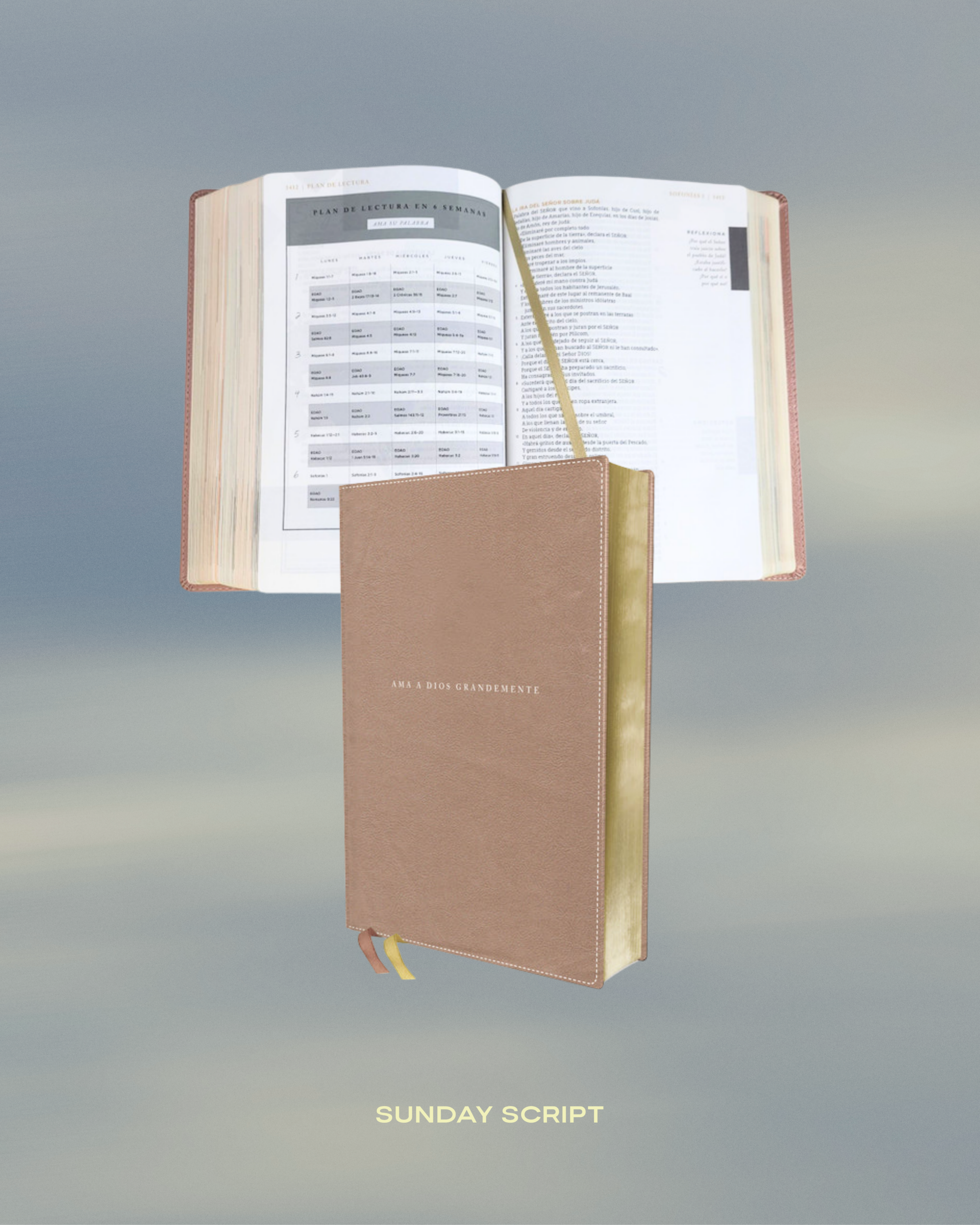 Ama a Dios Grandemente (Tapa Blanda) - Biblia de Notas