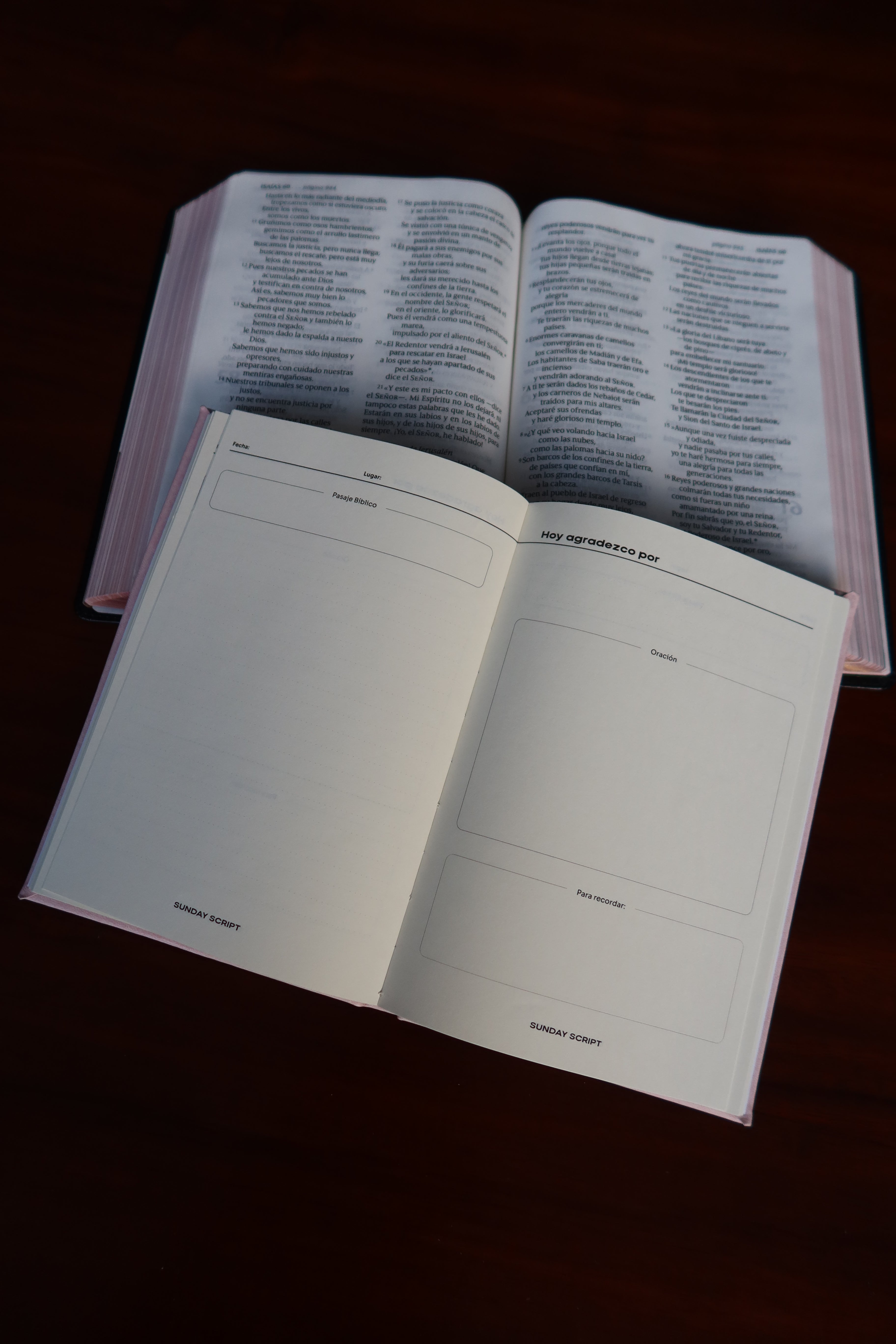 Tiempos con Dios - Diario Devocional