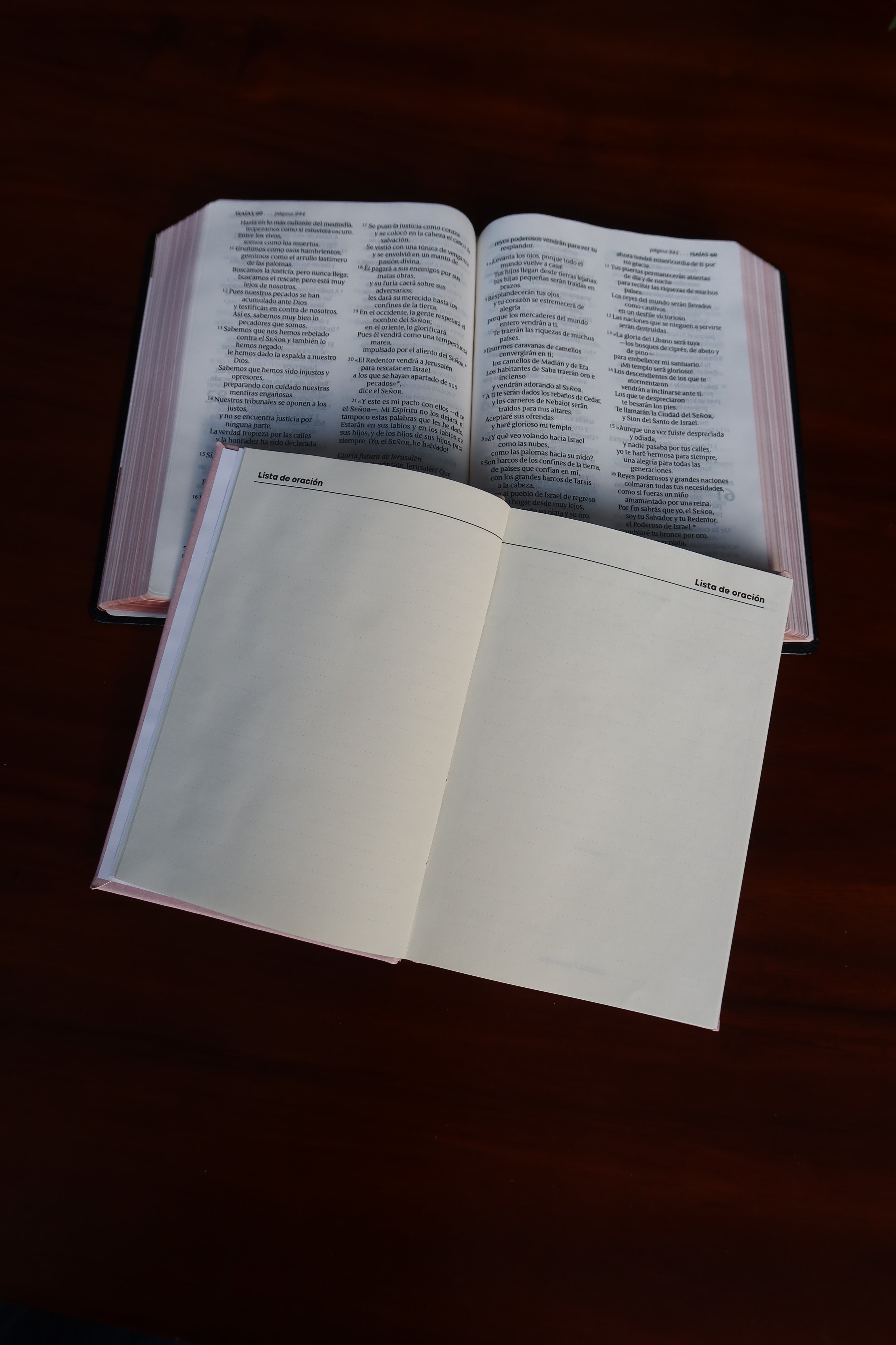 Tiempos con Dios - Diario Devocional