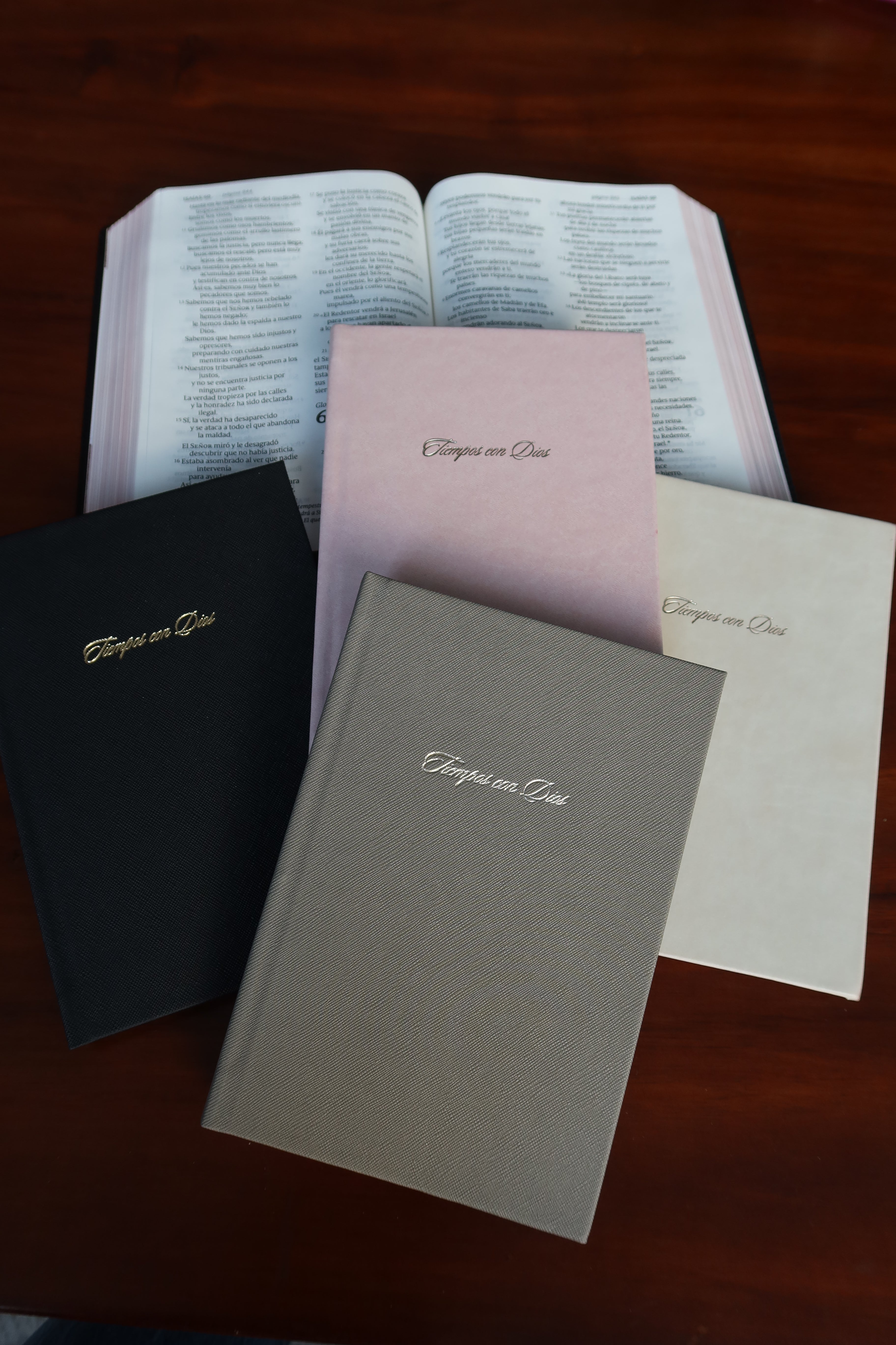 Tiempos con Dios - Diario Devocional