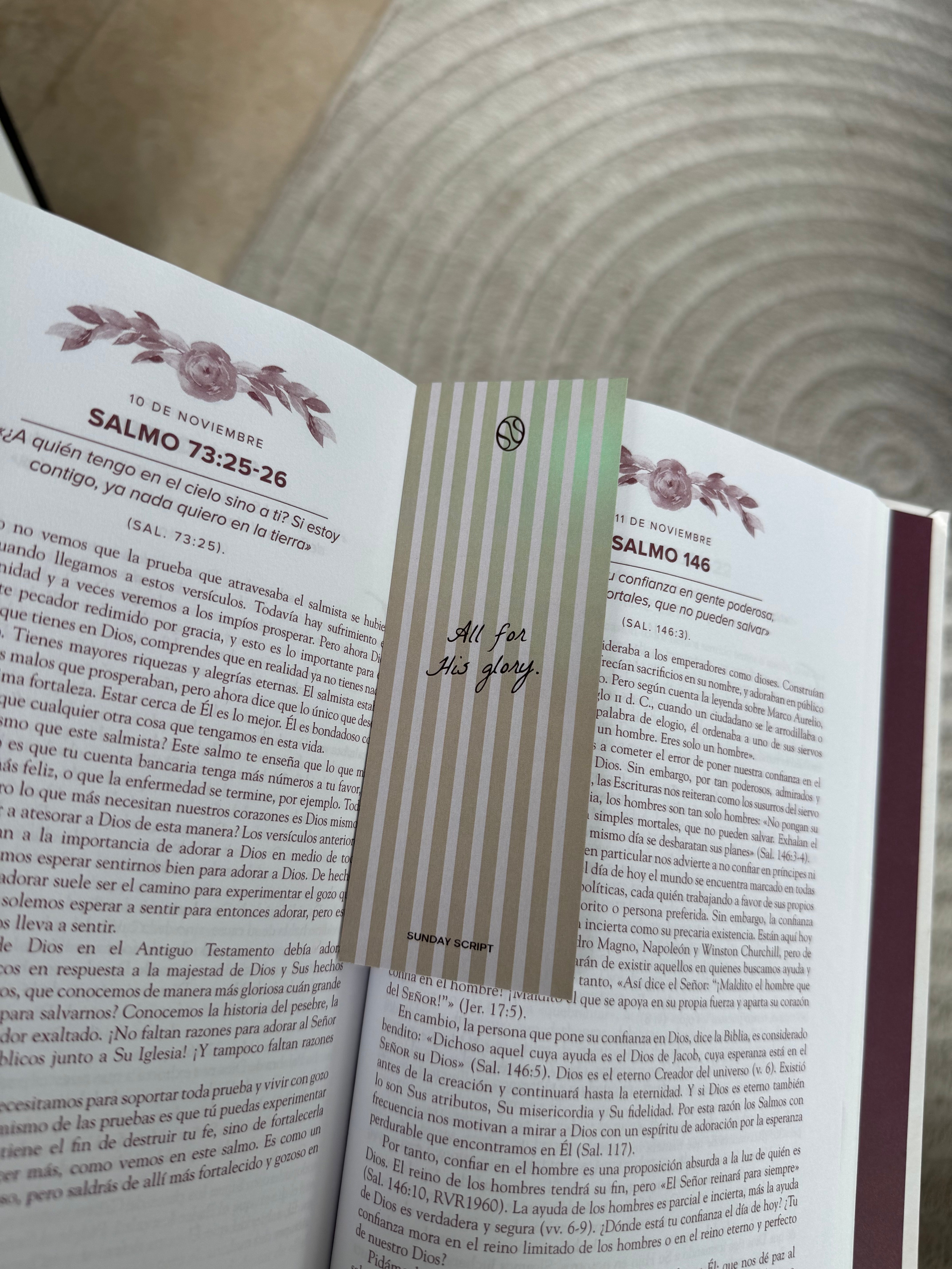 Bundle 3 Separadores