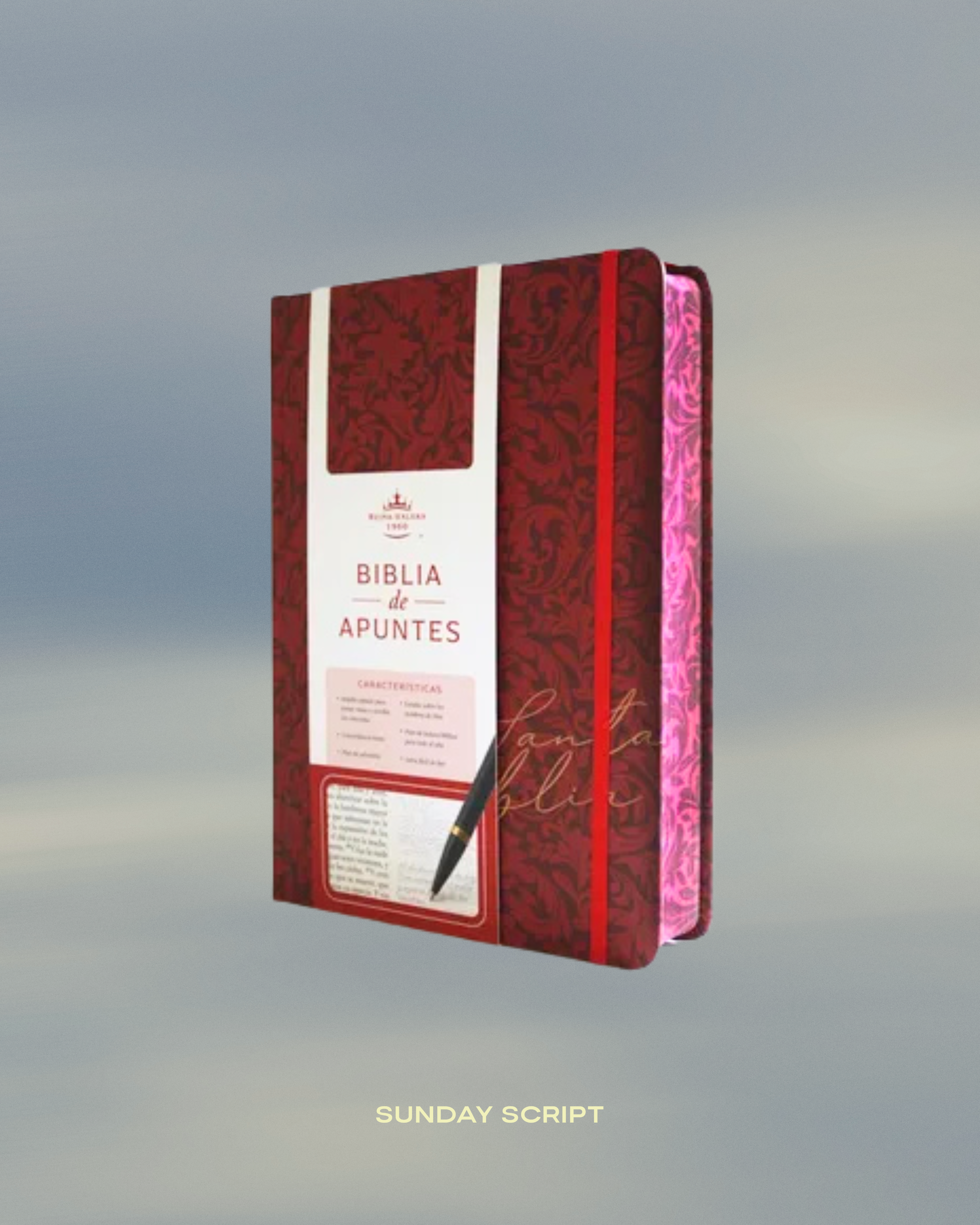 RVR60 Tapa Dura - Biblia de Notas