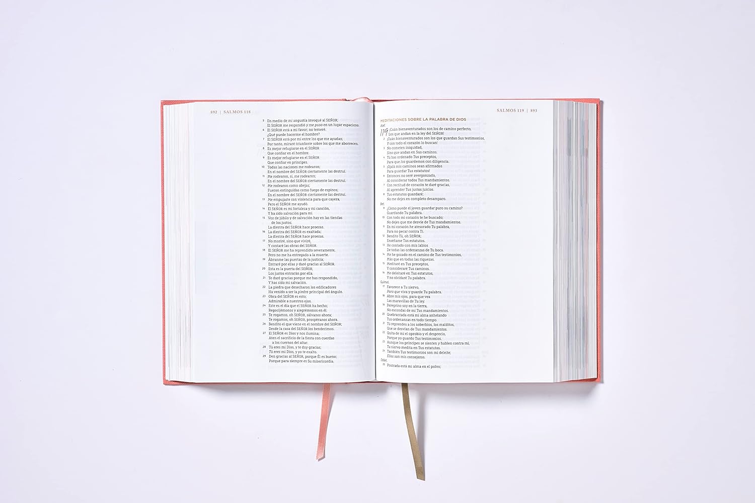 Ama a Dios Grandemente - Biblia de Notas