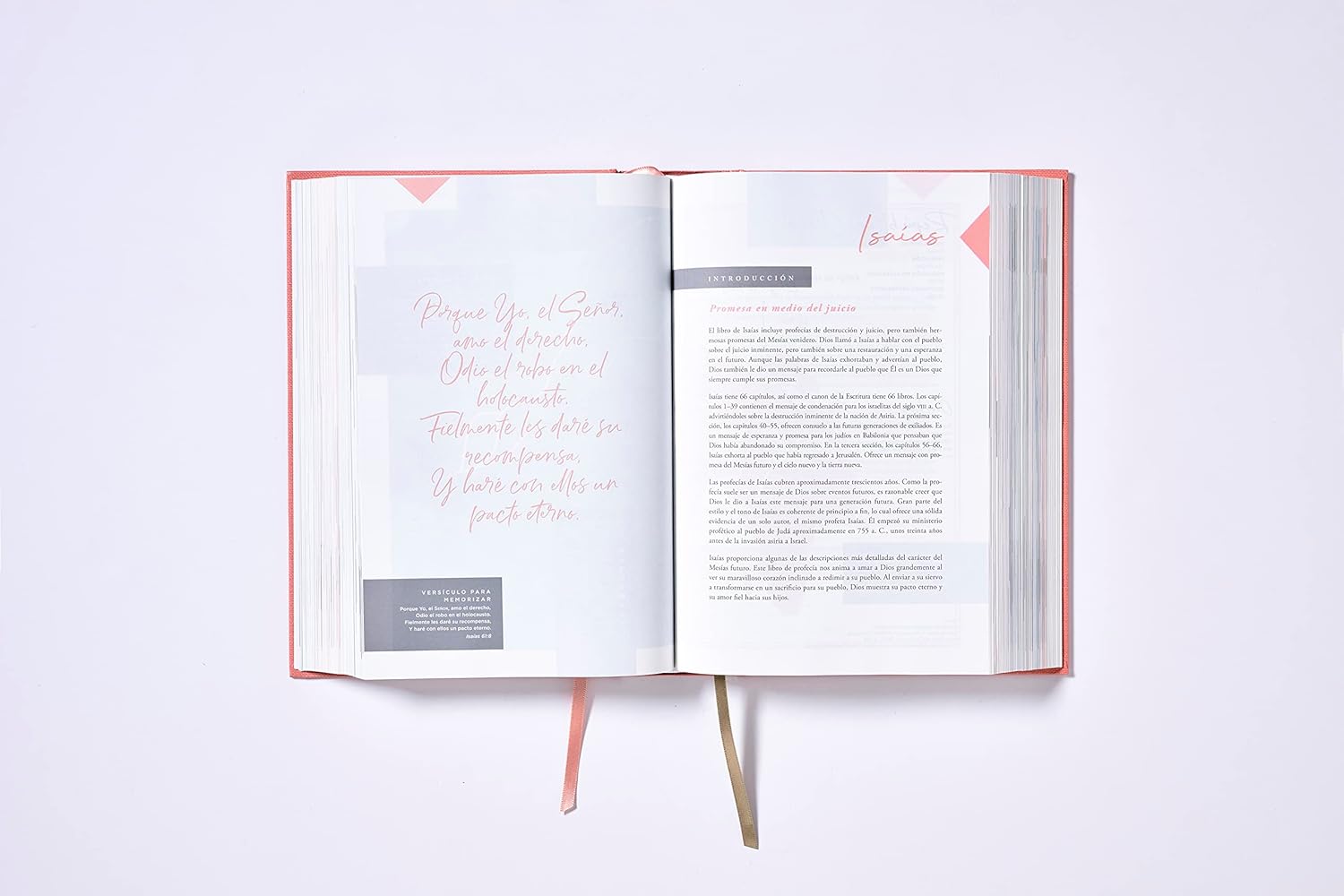 Ama a Dios Grandemente - Biblia de Notas