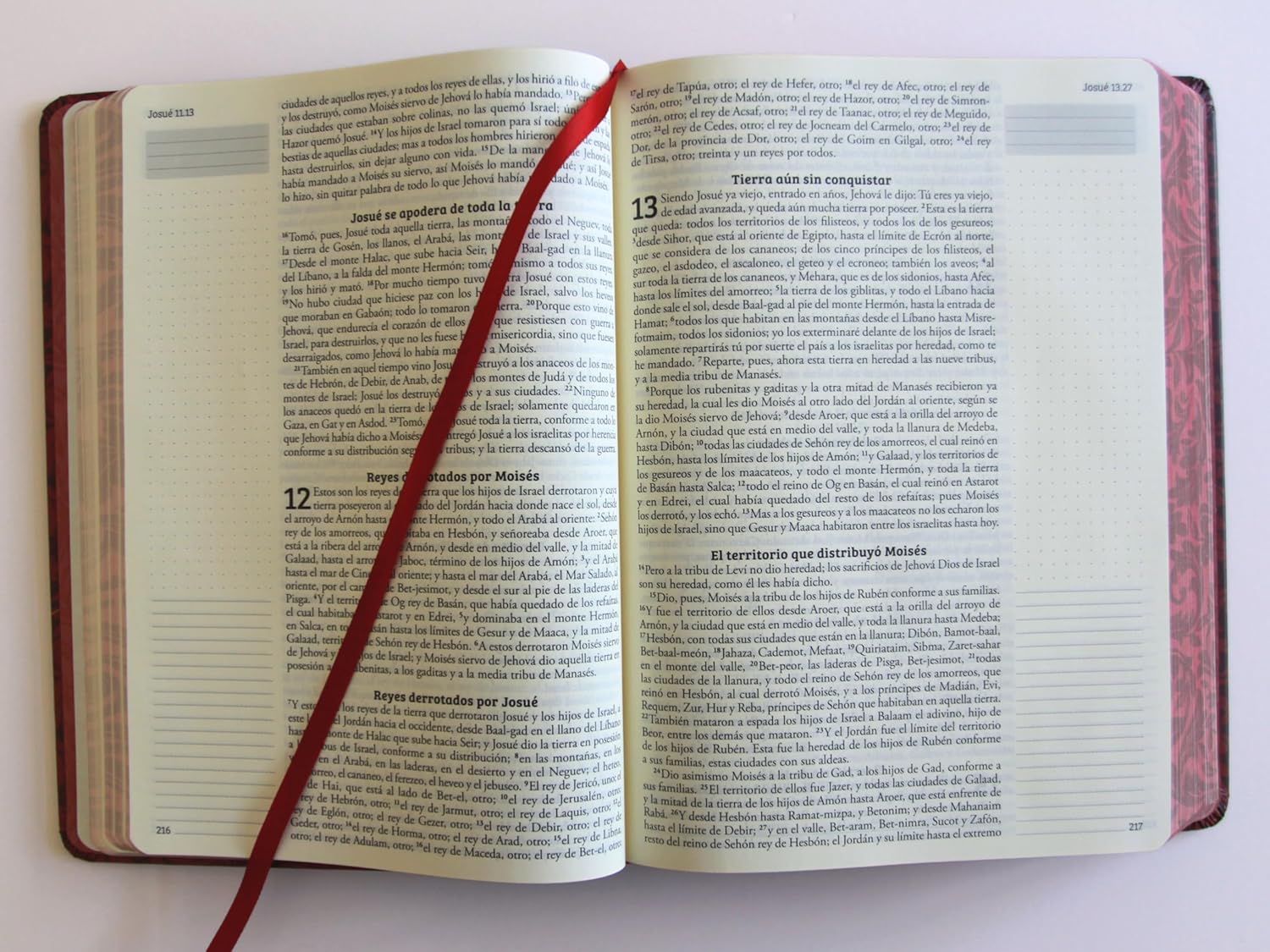 RVR60 Tapa Dura - Biblia de Notas