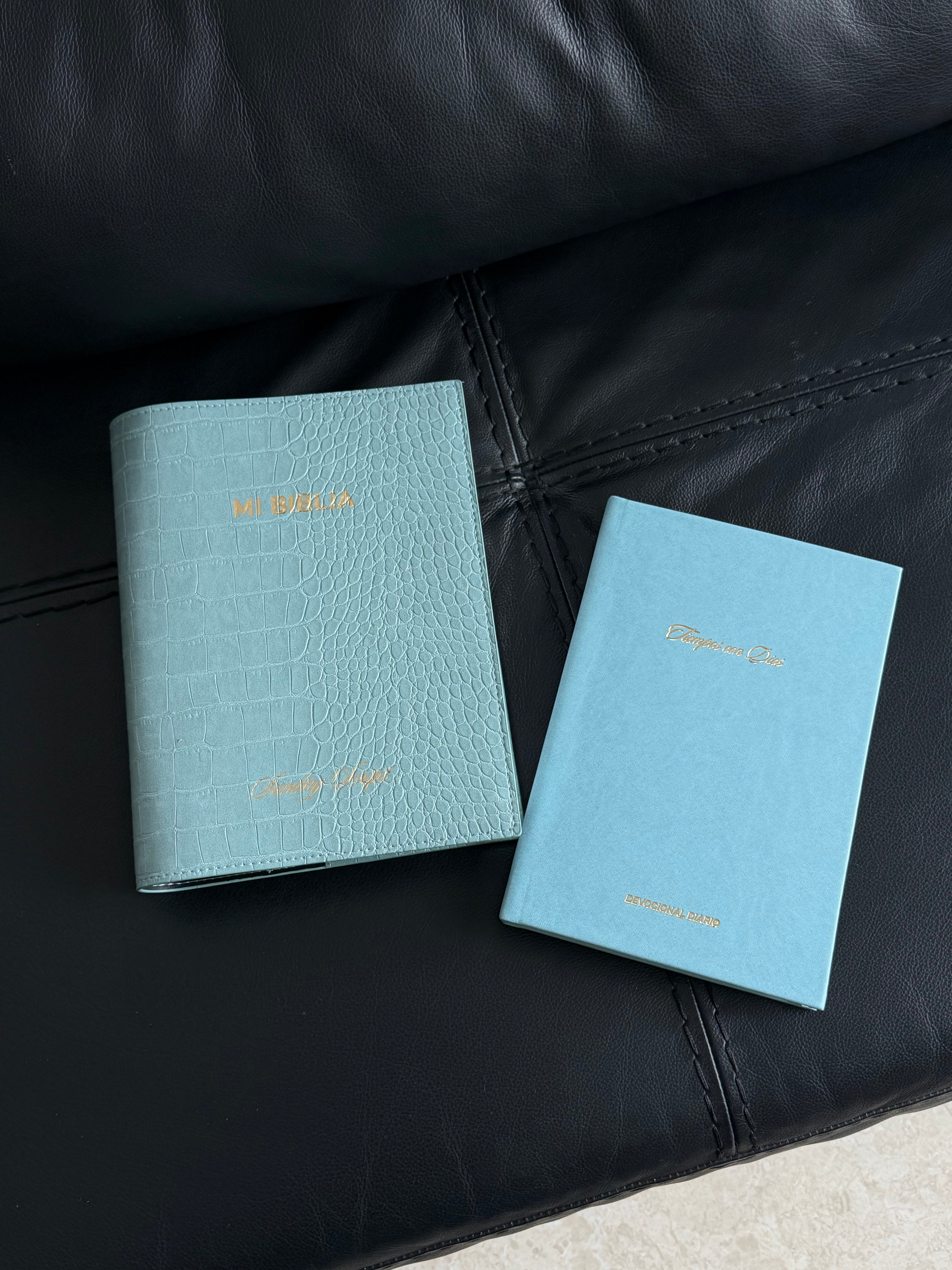 Bible Cover - Baby Blue