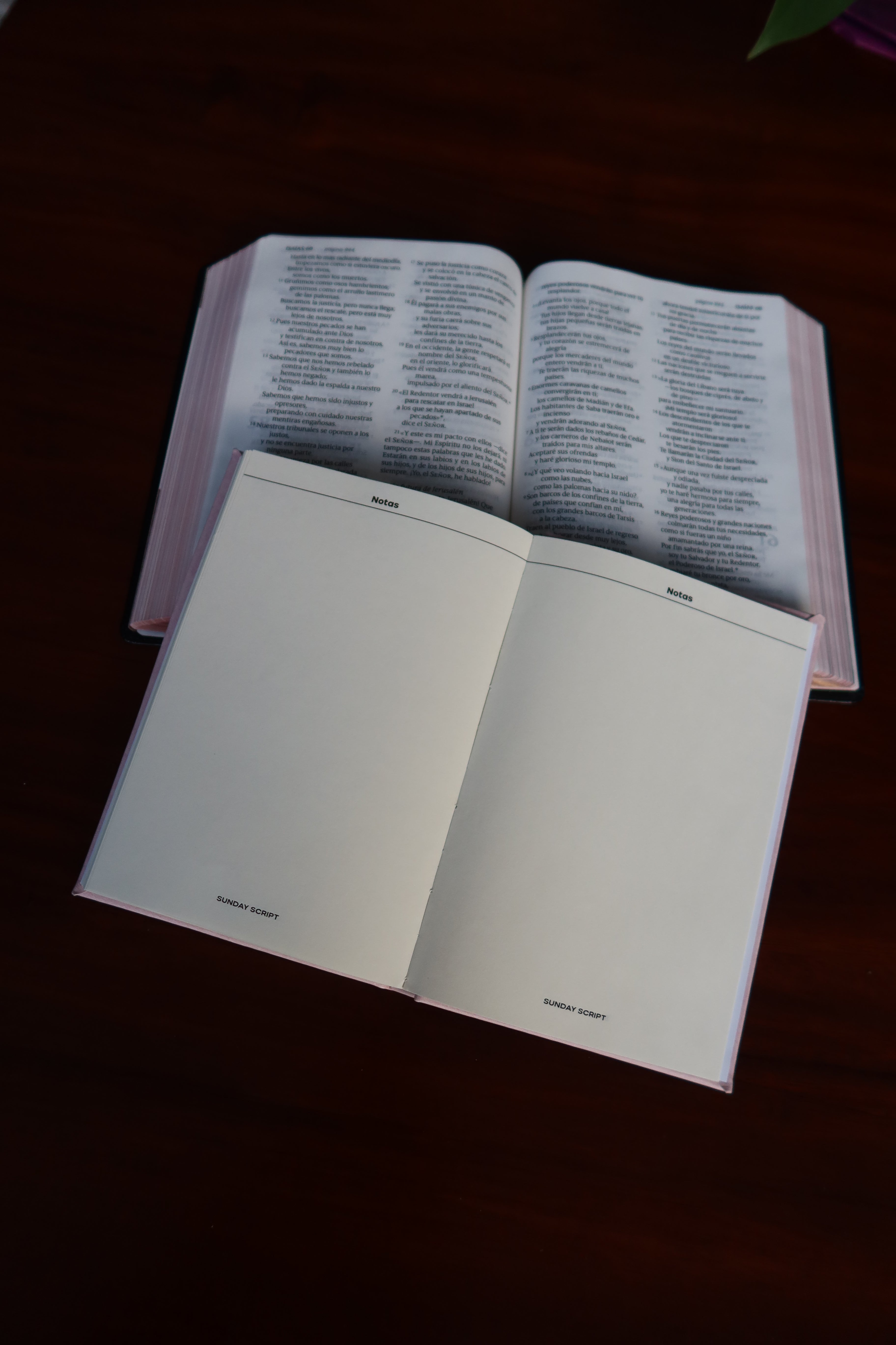 Tiempos con Dios - Diario Devocional