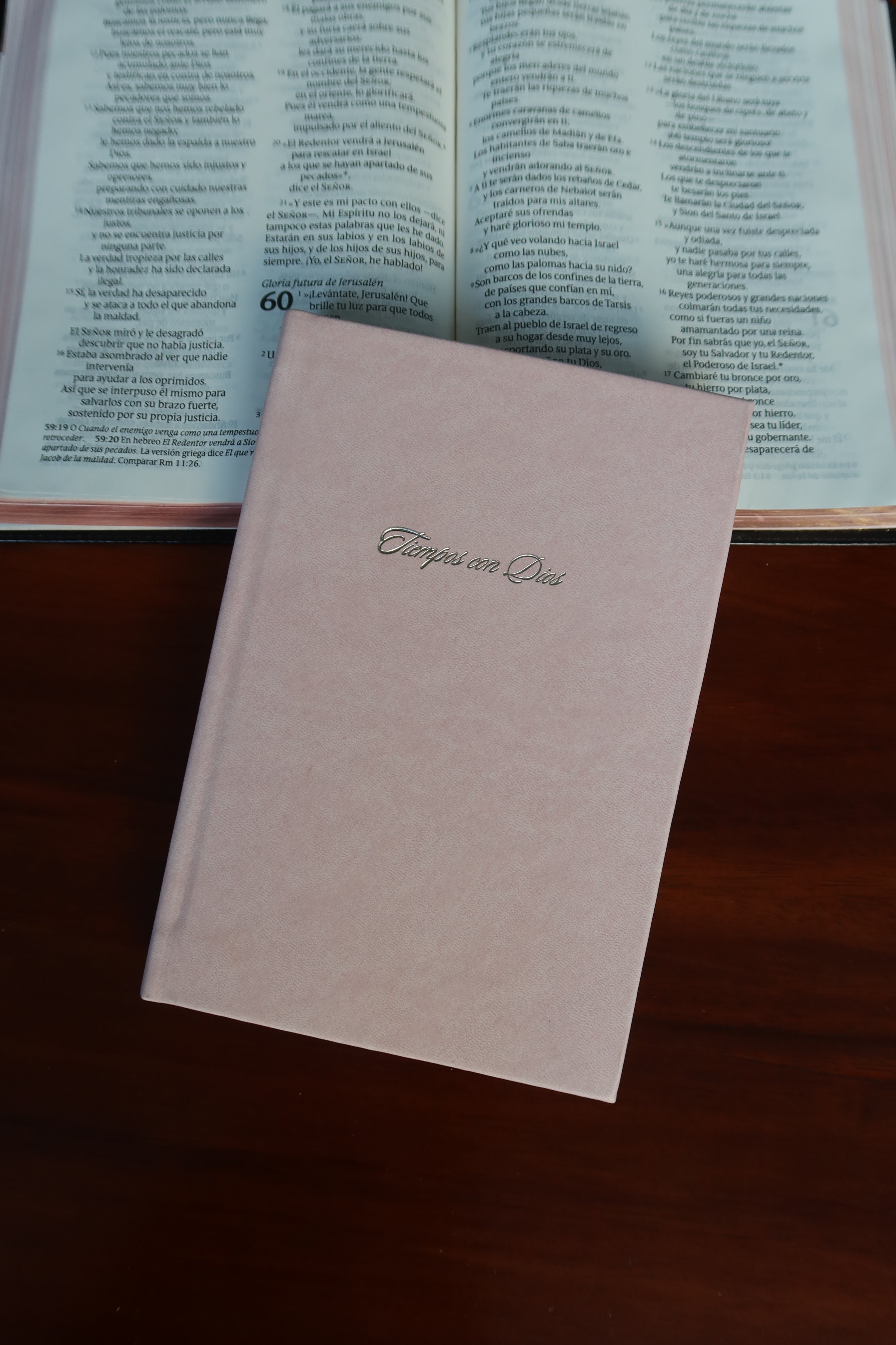 Tiempos con Dios - Diario Devocional