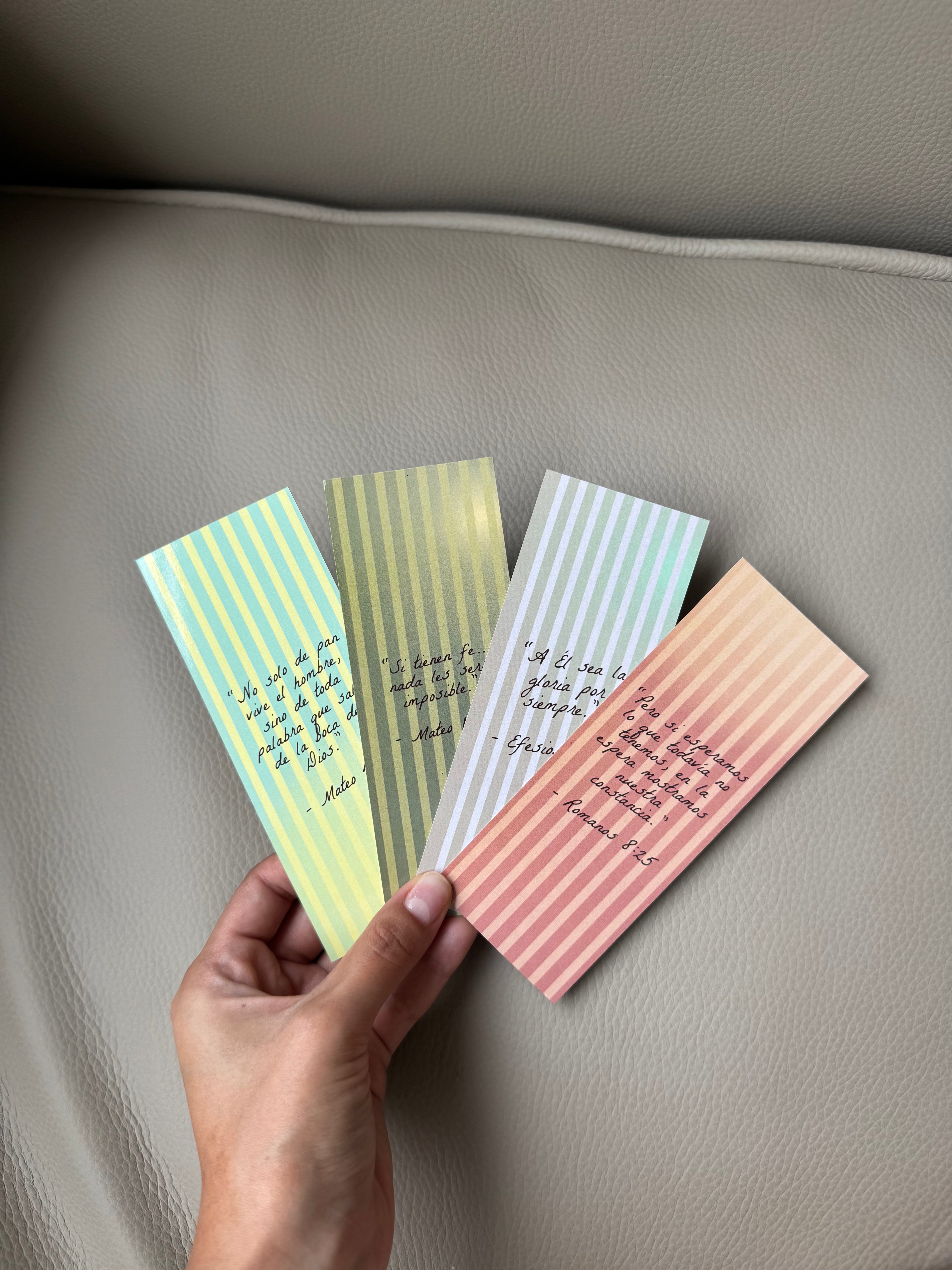 Bundle 3 Separadores