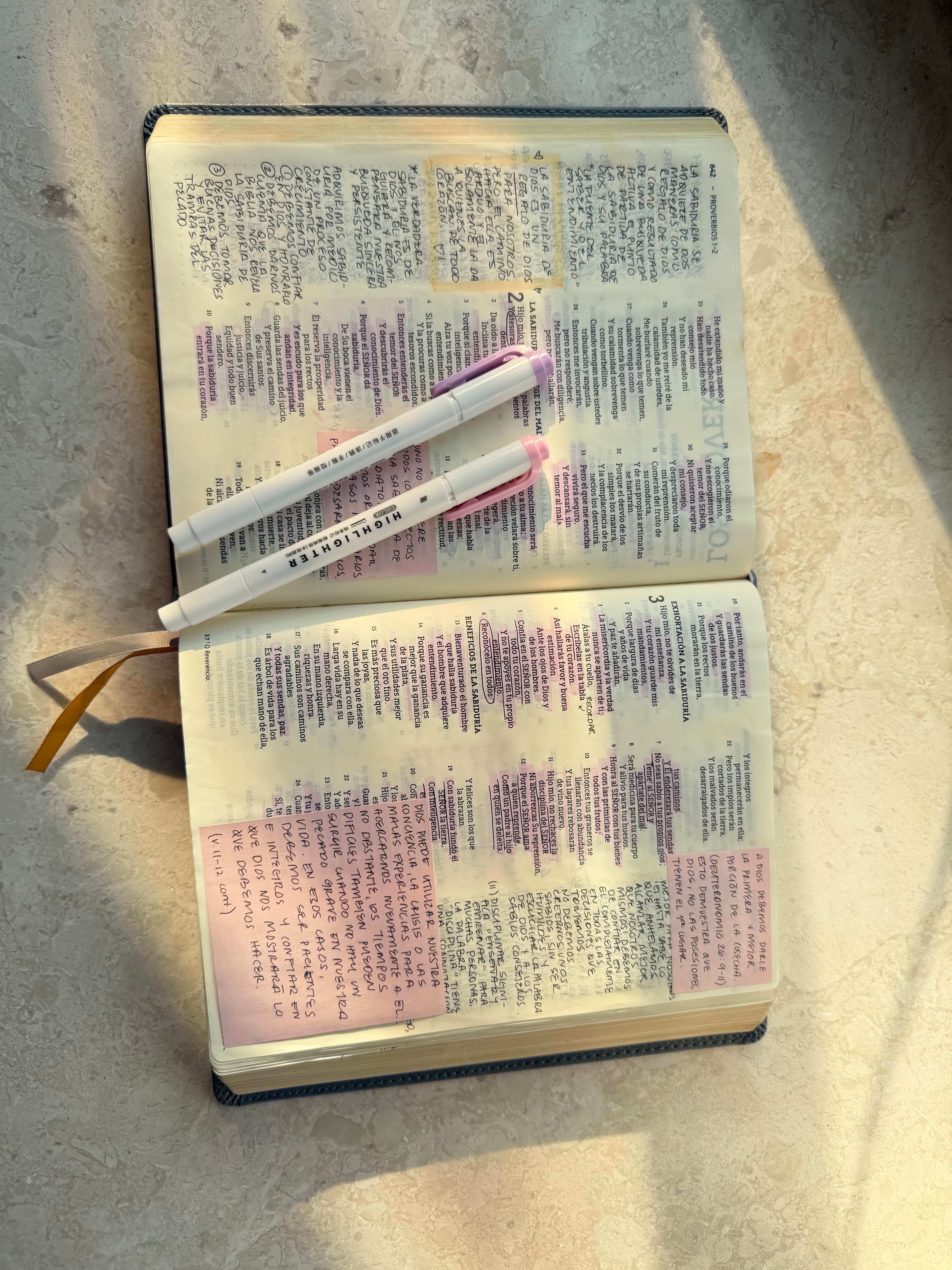 Resaltadores Doble Punta para Biblia - Set de 5